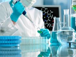 生物技術(shù)開發(fā) 創(chuàng)新驅(qū)動(dòng)下的未來前景與機(jī)遇