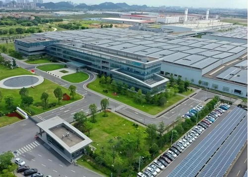 高凈值家庭標準公布 中國211萬戶達標，生物技術(shù)開發(fā)成財富增長新引擎