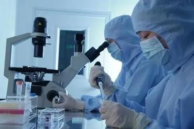 李逵還是李鬼？相似專業名稱辨析 生物技術與生物技術開發，2021年考生必讀