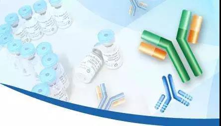 聚焦創新與合作 8月廣州國際生物技術大會引領抗體藥產業新浪潮